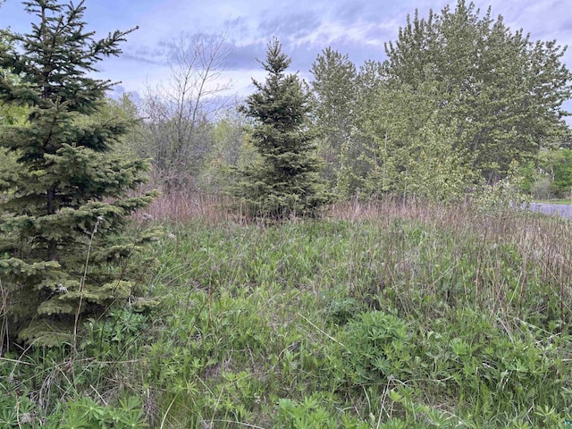 XX W Myrtle St, Duluth, MN 55811