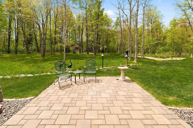 5036 Silver Leaf St, Hermantown, MN 55811 - view of patio
