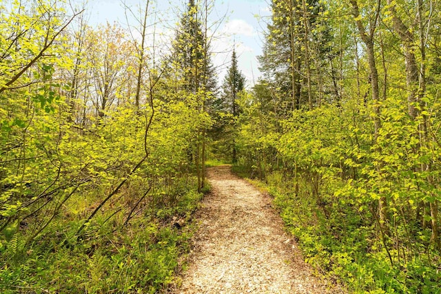 5036 Silver Leaf St, Hermantown, MN 55811 - view of road with a forest view