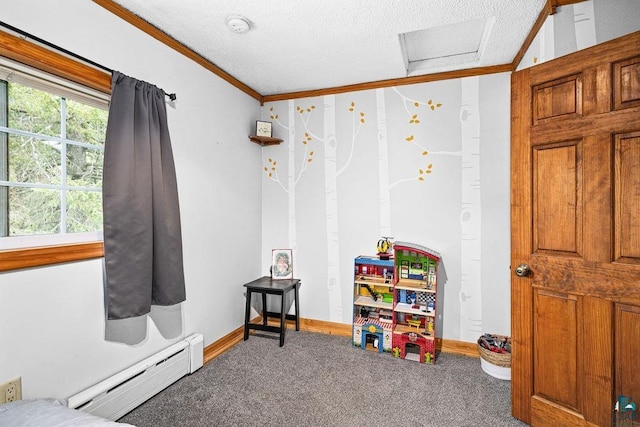 13107 W 9th St, Duluth, MN 55808 - rec room featuring ornamental molding, baseboard heating, a textured ceiling, carpet flooring, and attic access