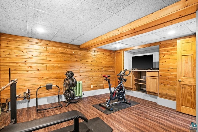 13107 W 9th St, Duluth, MN 55808 - workout room featuring wood finished floors and wooden walls