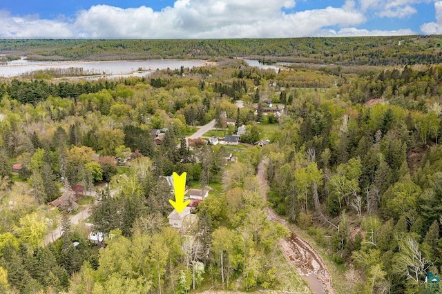 13107 W 9th St, Duluth, MN 55808 - aerial overview of property's location featuring a heavily wooded area and a nearby body of water