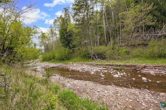 13107 W 9th St, Duluth, MN 55808 - view of local wilderness
