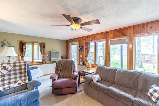 3984 Stocking Point Dr, Ely, MN 55731 - carpeted living area featuring plenty of natural light, a ceiling fan, wooden walls, a textured ceiling, and baseboards