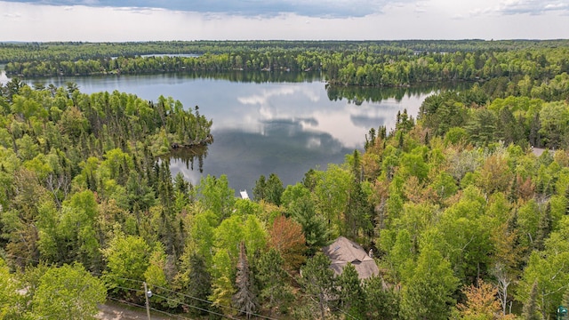 3984 Stocking Point Dr, Ely, MN 55731 - aerial view of a forest and a nearby body of water