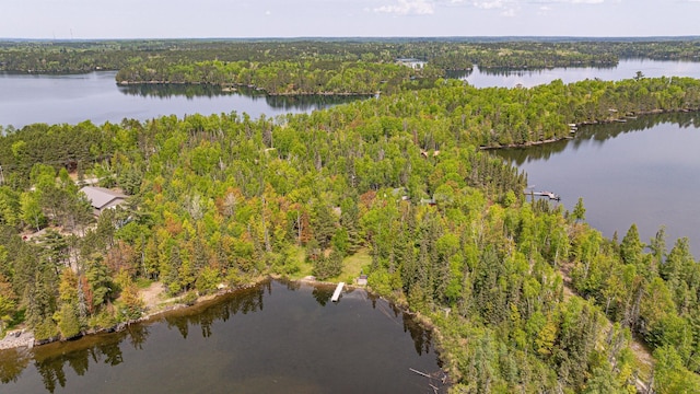 3984 Stocking Point Dr, Ely, MN 55731 - view of property location featuring a forest and a nearby body of water
