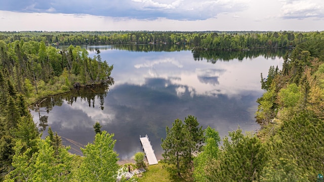 3984 Stocking Point Dr, Ely, MN 55731 - water view with a heavily wooded area
