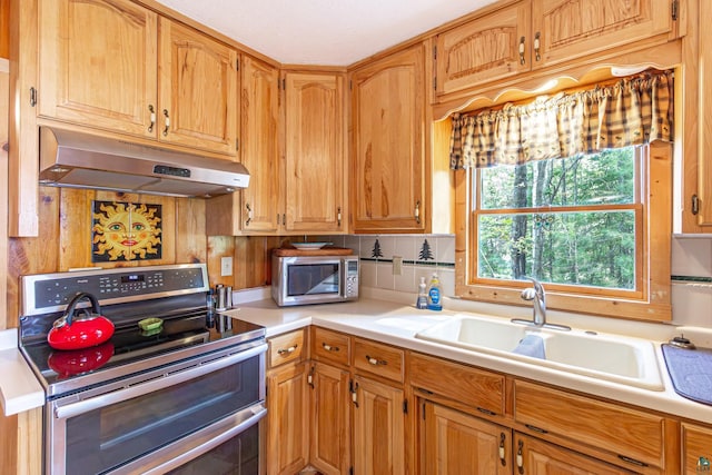 3984 Stocking Point Dr, Ely, MN 55731 - kitchen featuring stainless steel appliances, under cabinet range hood, a sink, and light countertops