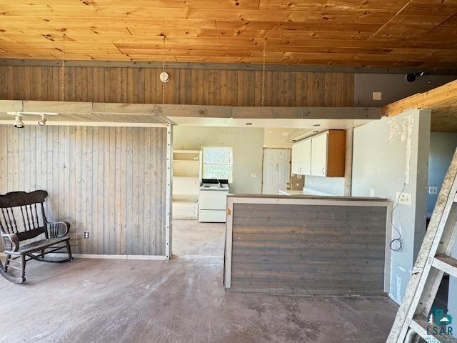 3217 Vermilion Trl, Makinen, MN 55763 - unfurnished living room with washer / clothes dryer, wood walls, wood finished floors, wood ceiling, and baseboards