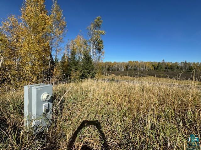 3217 Vermilion Trl, Makinen, MN 55763 - view of local wilderness