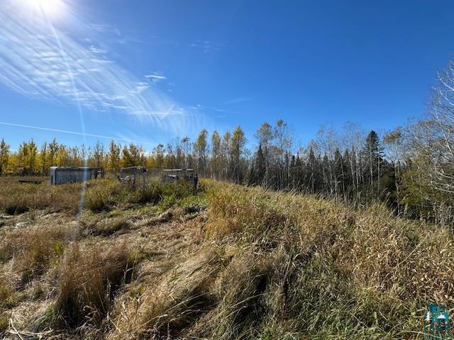 3217 Vermilion Trl, Makinen, MN 55763 - view of undeveloped land
