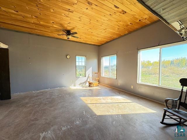 3217 Vermilion Trl, Makinen, MN 55763 - view of unfurnished sunroom