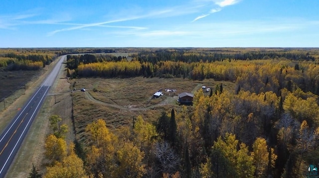 3217 Vermilion Trl, Makinen, MN 55763 - aerial view of property's location with a forest