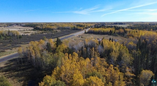 3217 Vermilion Trl, Makinen, MN 55763 - aerial view of property's location with a forest