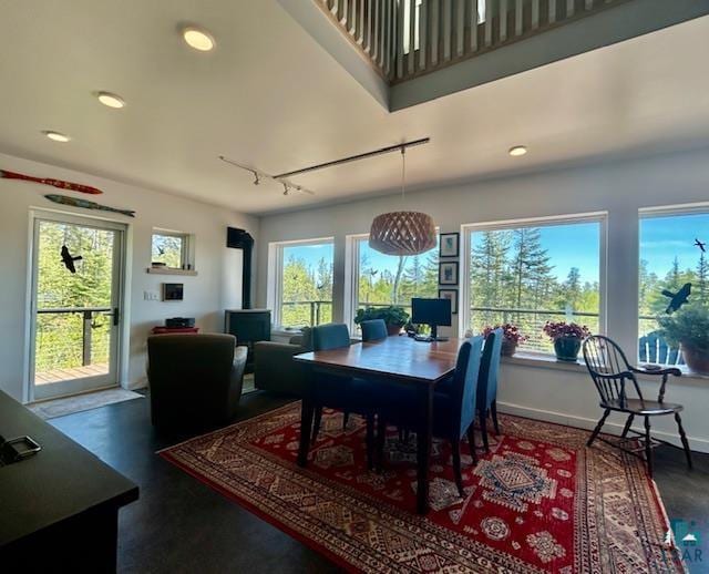 328 Gunflint Trl, Grand Marais, MN 55604 - dining space with healthy amount of natural light, rail lighting, a wood stove, recessed lighting, and baseboards