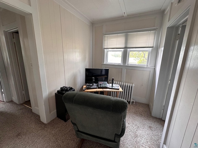 1601 W 4th Ave, International Falls, MN 56649 - office with radiator, light carpet, ornamental molding, and wooden walls