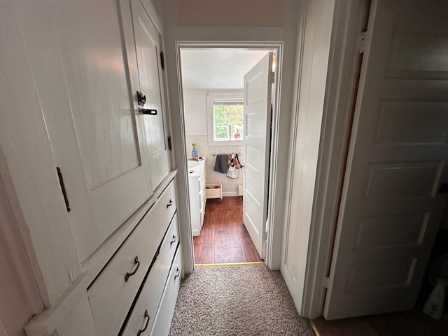 1601 W 4th Ave, International Falls, MN 56649 - hallway with carpet floors