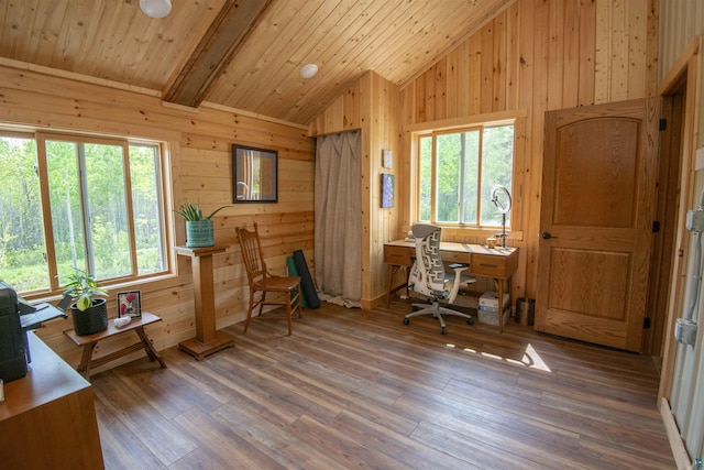 72 Sled Dog Trl, Hovland, MN 55604 - office space featuring healthy amount of natural light, wooden walls, wood finished floors, wooden ceiling, and high vaulted ceiling
