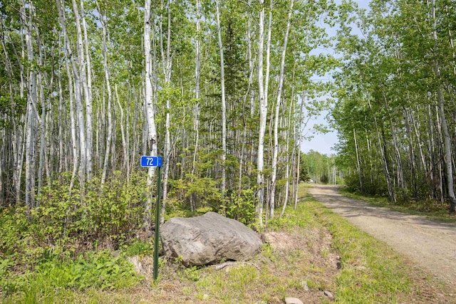72 Sled Dog Trl, Hovland, MN 55604 - exterior view of a heavily wooded area