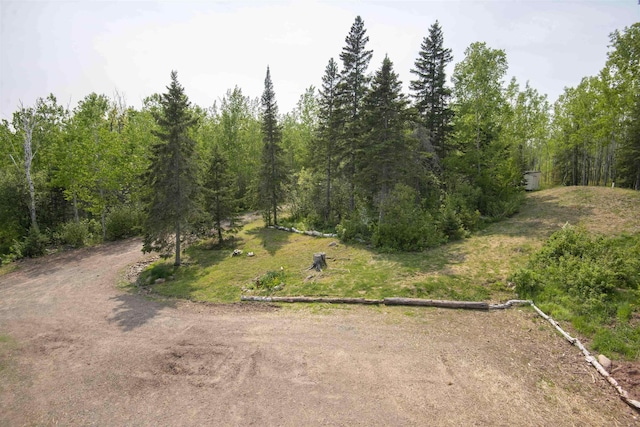 72 Sled Dog Trl, Hovland, MN 55604 - drone / aerial view