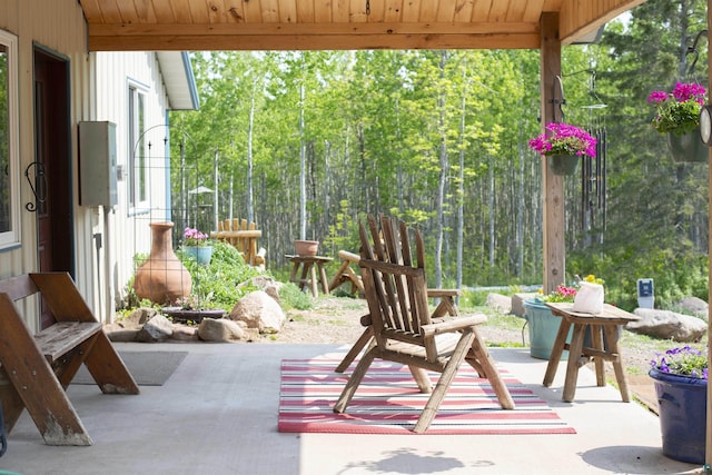 72 Sled Dog Trl, Hovland, MN 55604 - view of patio / terrace