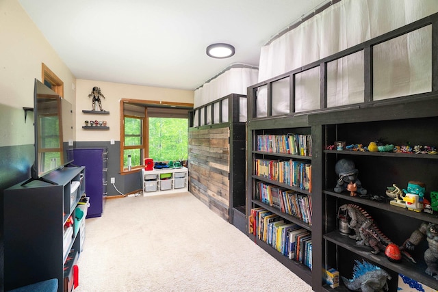 4409 Cedarway Rd, Duluth, MN 55810 - home office with carpet flooring
