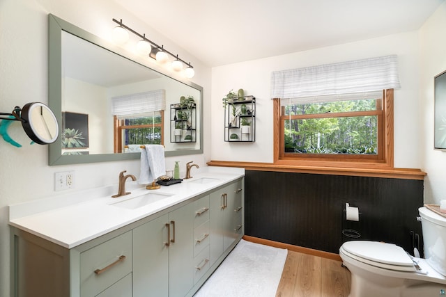 4409 Cedarway Rd, Duluth, MN 55810 - bathroom with double vanity, wood finished floors, and toilet