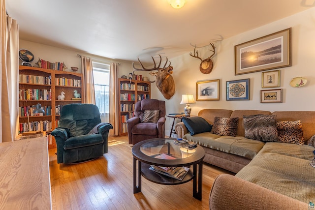 1 W Railroad St, Ely, MN 55731 - living room with wood-type flooring