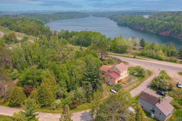 1 W Railroad St, Ely, MN 55731 - aerial view of a nearby body of water and a forest