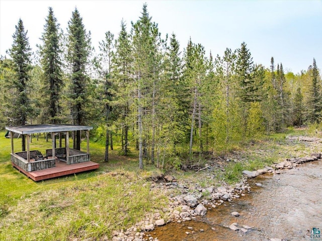 115 Copperhead Rd, Knife River, MN 55616 - view of yard featuring a view of trees