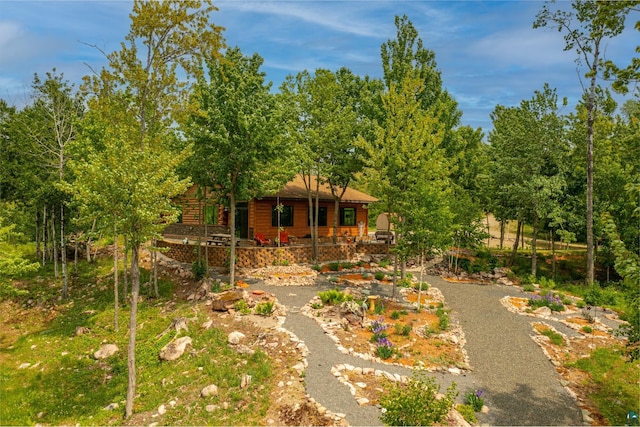 2137 Deer Ridge Rd, Ely, MN 55731 - view of yard