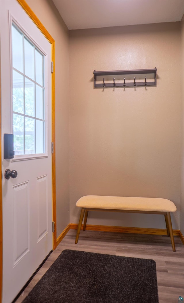 319 N 84th Ave W, Duluth, MN 55807 - mudroom featuring baseboards and wood finished floors