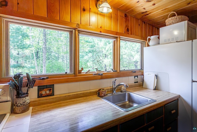 3666 Mackie Rd, Ely, MN 55731 - kitchen with a sink, freestanding refrigerator, and light countertops