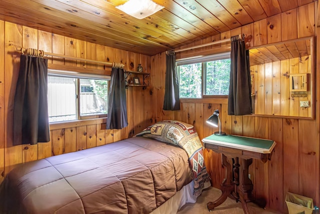 3666 Mackie Rd, Ely, MN 55731 - bedroom featuring wooden walls