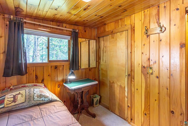 3666 Mackie Rd, Ely, MN 55731 - carpeted bedroom with wood walls