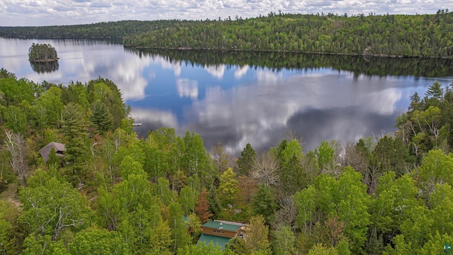 3666 Mackie Rd, Ely, MN 55731 - water view with a forest
