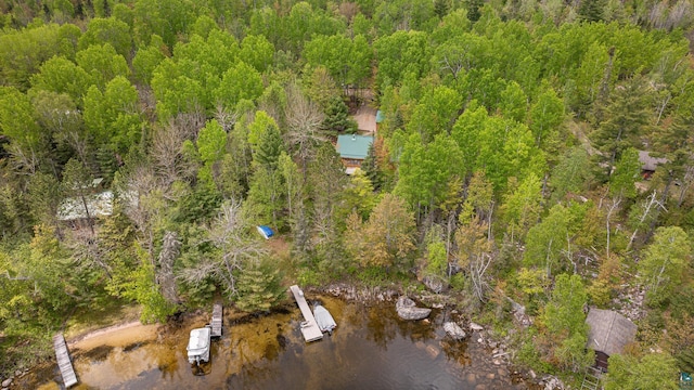 3666 Mackie Rd, Ely, MN 55731 - aerial overview of property's location with a forest and a nearby body of water