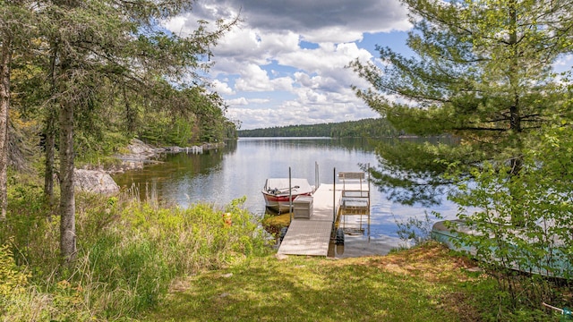 3666 Mackie Rd, Ely, MN 55731 - dock area with a water view and a forest view