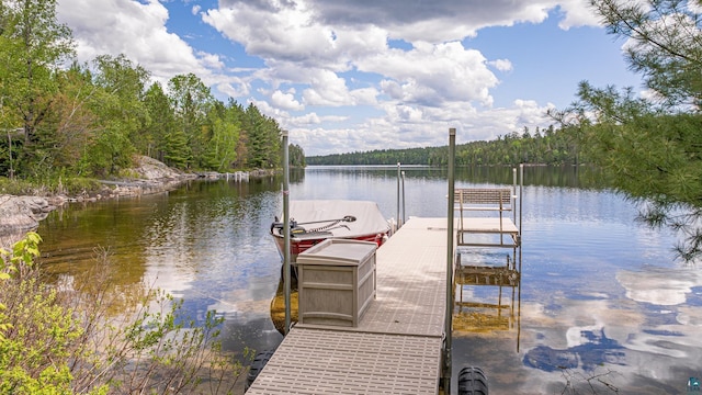 3666 Mackie Rd, Ely, MN 55731 - dock with a water view and a view of trees