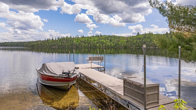 3666 Mackie Rd, Ely, MN 55731 - dock with a forest view and a water view
