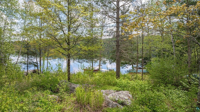 3666 Mackie Rd, Ely, MN 55731 - water view with a forest