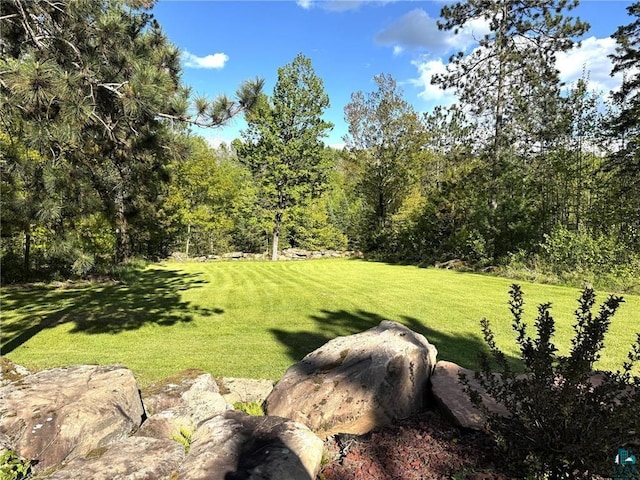 58950 State Highway 23, Sandstone, MN 55072 - view of green lawn