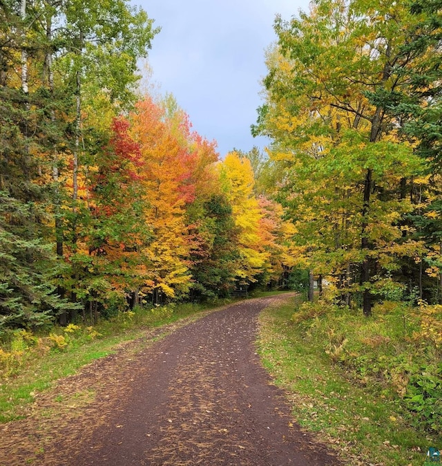 58950 State Highway 23, Sandstone, MN 55072 - view of road featuring a forest view