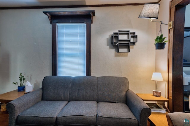 316 W 3rd Ave N, Aurora, MN 55705 - living room featuring wood finished floors