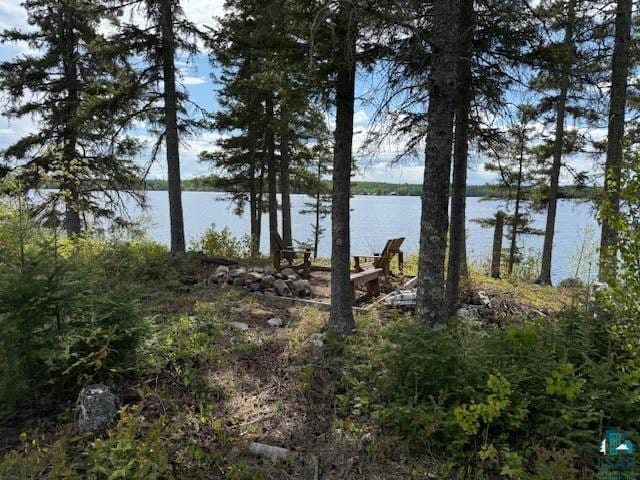 13321 Lodge Rd, Ely, MN 55731 - water view