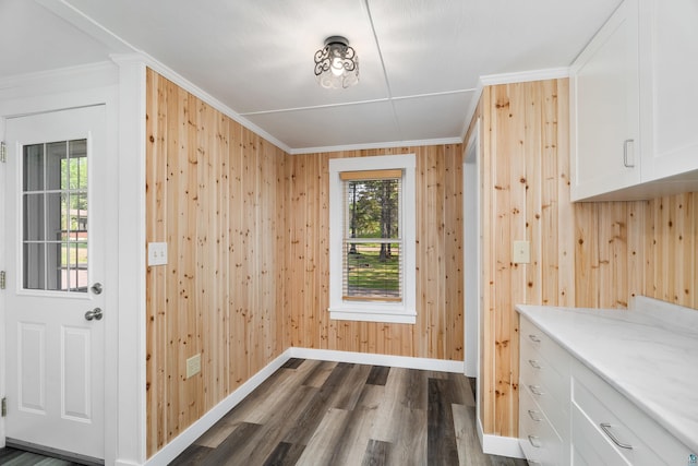 244 E 3rd St, Knife River, MN 55609 - doorway with baseboards, dark wood-type flooring, wood walls, and ornamental molding
