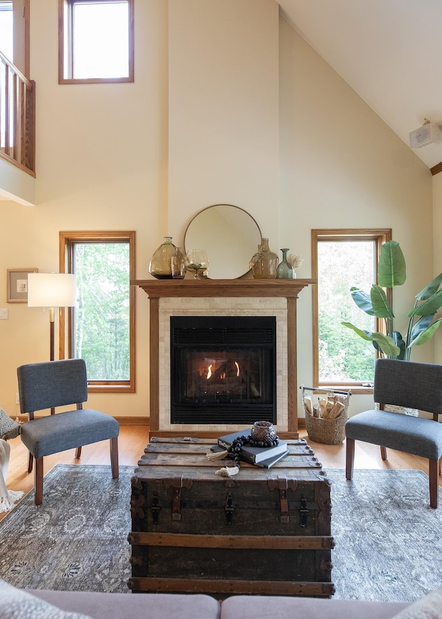 6220 N Tischer Rd, Duluth, MN 55804 - living room featuring high vaulted ceiling, a glass covered fireplace, and wood finished floors