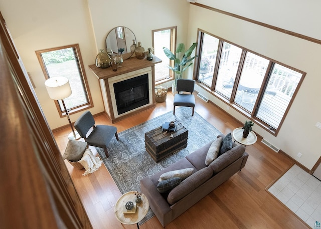 6220 N Tischer Rd, Duluth, MN 55804 - living area with wood finished floors, a glass covered fireplace, baseboards, and a high ceiling