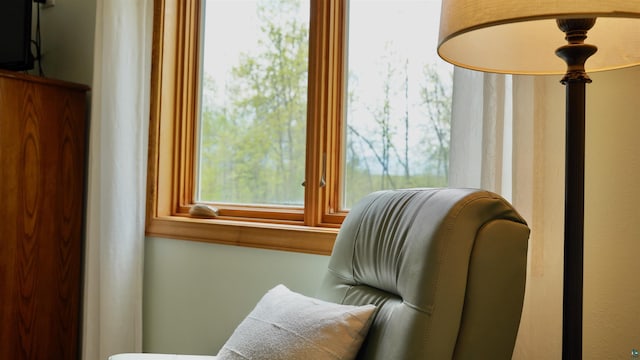 20 Mulberry Ln, Babbitt, MN 55731 - view of sitting room