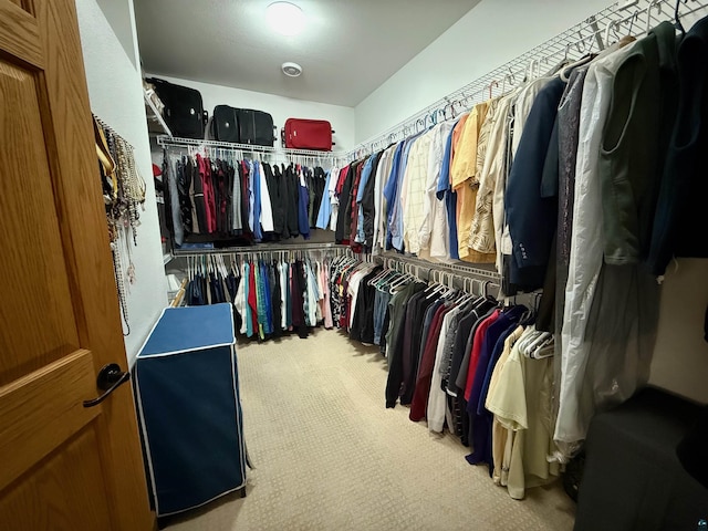 20 Mulberry Ln, Babbitt, MN 55731 - spacious closet featuring carpet